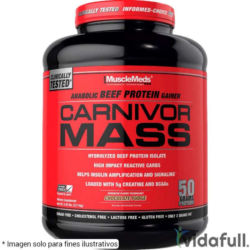 Carnivor Mass 6 lb Chocolate Fudge