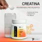 Creatina Primetech Características