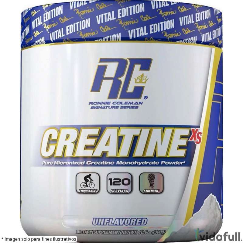 creatina glutamina carnitina