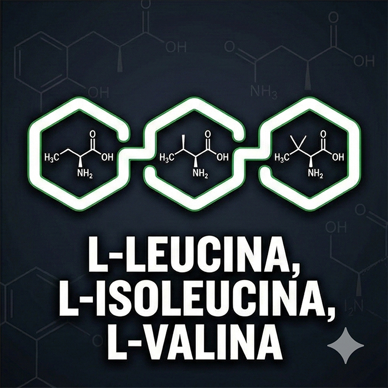 BCAA 6000 de Nutrex contiene L-Leucina, L-Isoleucina y L-Valina