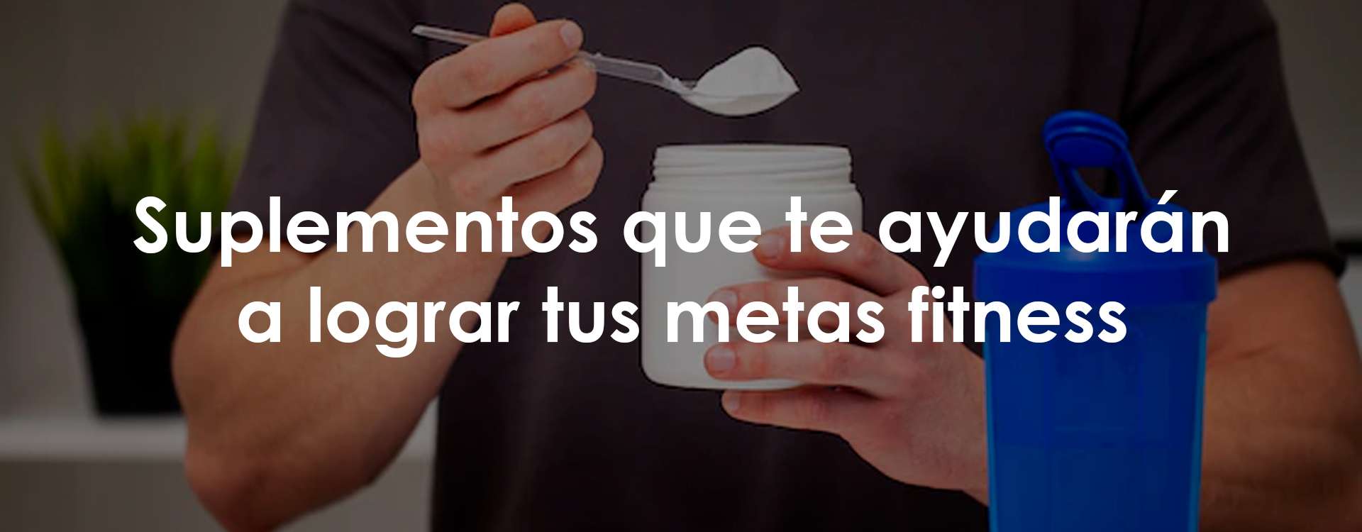4 suplementos que te ayudarán a lograr tus metas fitness 4 suplementos que te ayudarán a lograr tus metas fitness