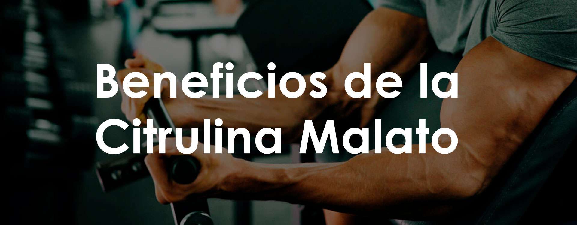 Beneficios de la citrulina malato