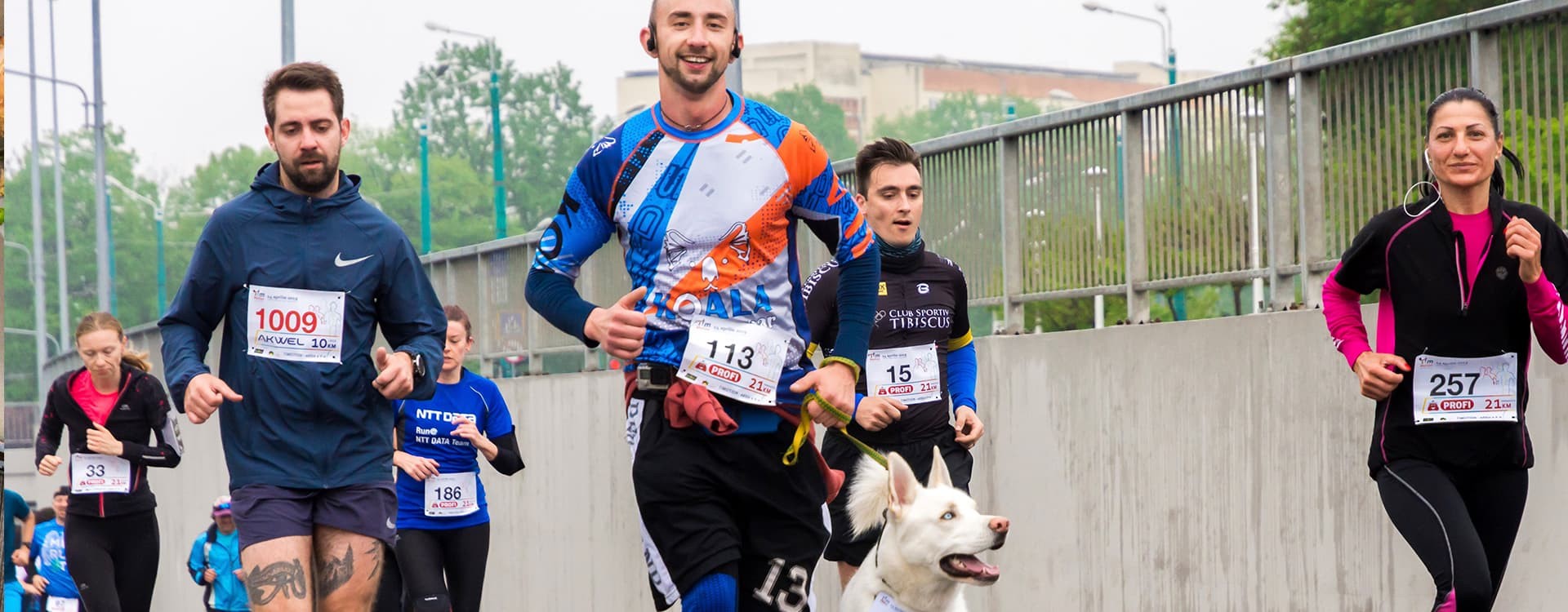 Ejercitarse con el perro