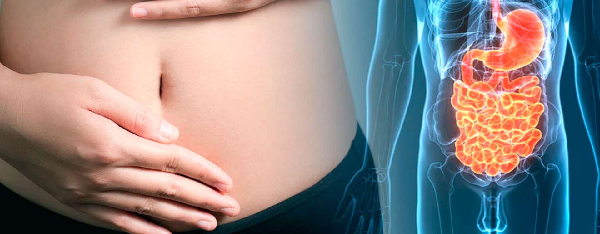 ¿Para qué sirven las enzimas digestivas?